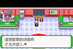 《口袋妖怪空之花神》一周目圖文攻略