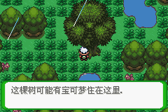 《口袋妖怪空之花神》一周目圖文攻略