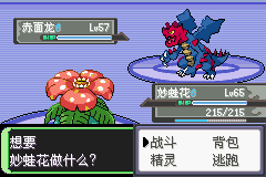 《口袋妖怪空之花神》一周目圖文攻略