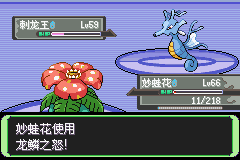 《口袋妖怪空之花神》一周目圖文攻略