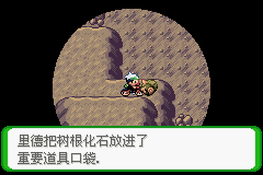 《口袋妖怪空之花神》一周目圖文攻略