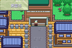 《口袋妖怪空之花神》一周目圖文攻略