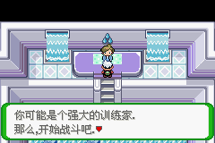 《口袋妖怪空之花神》一周目圖文攻略