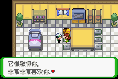 《口袋妖怪空之花神》一周目圖文攻略