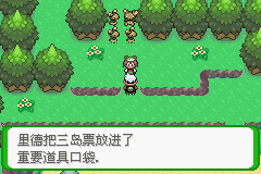 《口袋妖怪空之花神》一周目圖文攻略