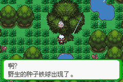 《口袋妖怪空之花神》一周目圖文攻略