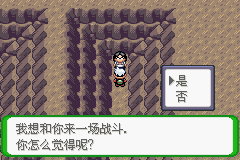 《口袋妖怪空之花神》一周目圖文攻略