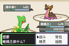 《口袋妖怪空之花神》一周目圖文攻略