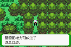 《口袋妖怪空之花神》一周目圖文攻略