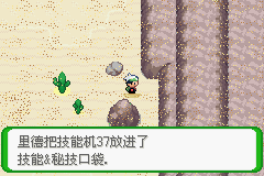 《口袋妖怪空之花神》一周目圖文攻略