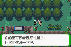 《口袋妖怪空之花神》一周目圖文攻略