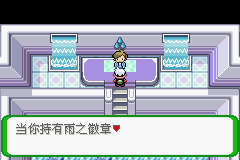 《口袋妖怪空之花神》一周目圖文攻略