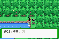 《口袋妖怪空之花神》一周目圖文攻略