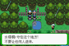 《口袋妖怪空之花神》一周目圖文攻略