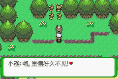 《口袋妖怪空之花神》一周目圖文攻略