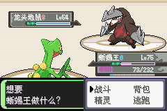 《口袋妖怪空之花神》一周目圖文攻略