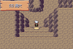 《口袋妖怪空之花神》一周目圖文攻略