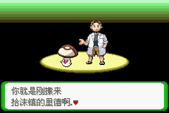 《口袋妖怪空之花神》一周目圖文攻略