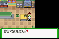 《口袋妖怪空之花神》二周目圖文攻略