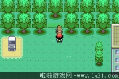 《口袋妖怪：圣灰》劇情流程圖文攻略