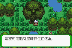 《口袋妖怪空之花神》二周目圖文攻略