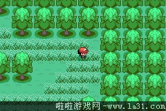 《口袋妖怪：圣灰》劇情流程圖文攻略
