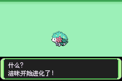 《口袋妖怪空之花神》二周目圖文攻略