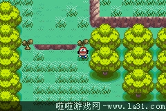 《口袋妖怪：圣灰》劇情流程圖文攻略
