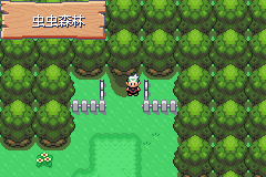 《口袋妖怪空之花神》二周目圖文攻略