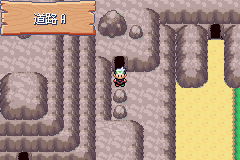 《口袋妖怪空之花神》二周目圖文攻略