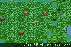 《口袋妖怪最強(qiáng)進(jìn)化V3.0最終版》二周目圖文攻略