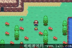 《口袋妖怪：圣灰》劇情流程圖文攻略
