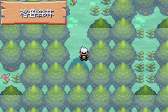 《口袋妖怪空之花神》二周目圖文攻略