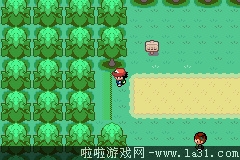 《口袋妖怪：圣灰》劇情流程圖文攻略