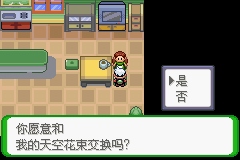 《口袋妖怪空之花神》二周目圖文攻略