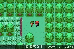《口袋妖怪：圣灰》劇情流程圖文攻略