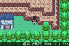 《口袋妖怪：圣灰》劇情流程圖文攻略