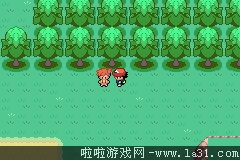 《口袋妖怪：圣灰》劇情流程圖文攻略