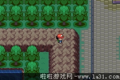 《口袋妖怪：圣灰》劇情流程圖文攻略