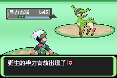 《口袋妖怪空之花神》二周目圖文攻略