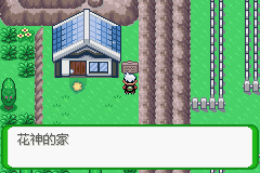 《口袋妖怪空之花神》二周目圖文攻略