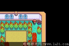 《口袋妖怪：圣灰》劇情流程圖文攻略