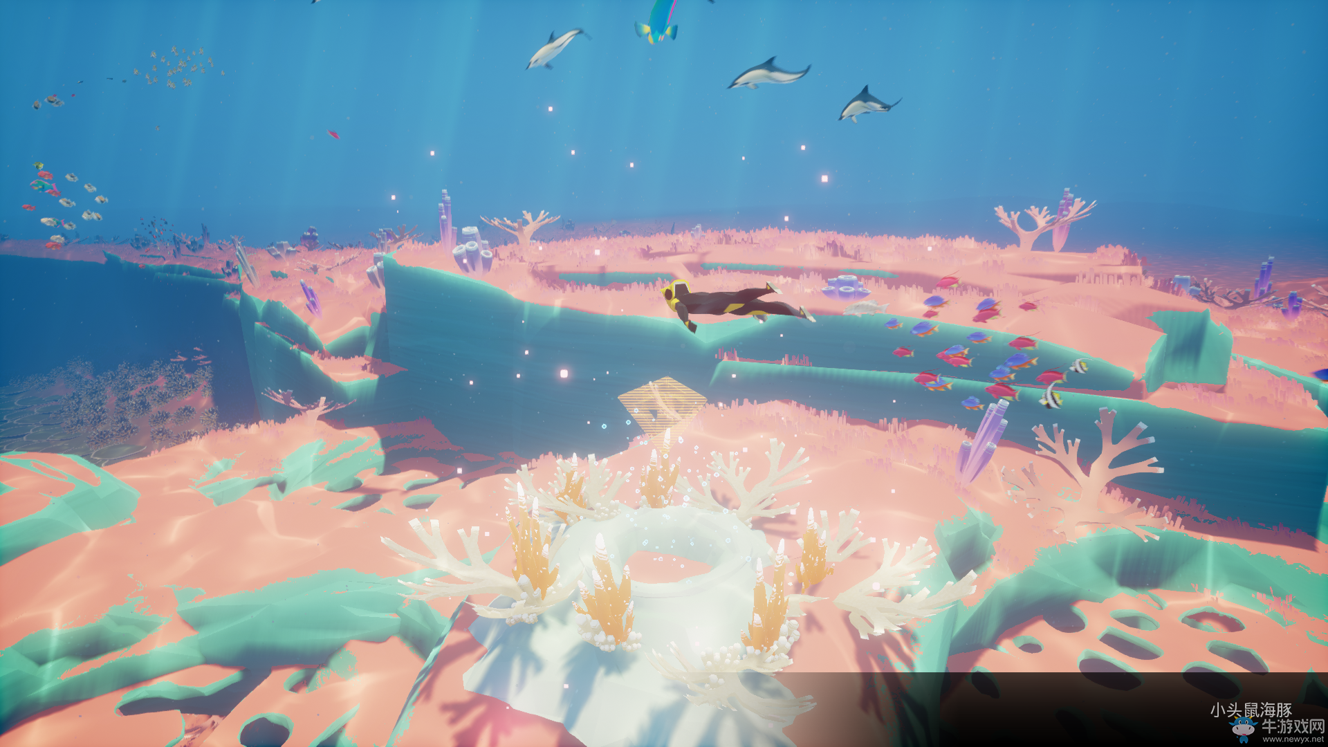 《ABZU》貝殼冥想水潭全收集攻略