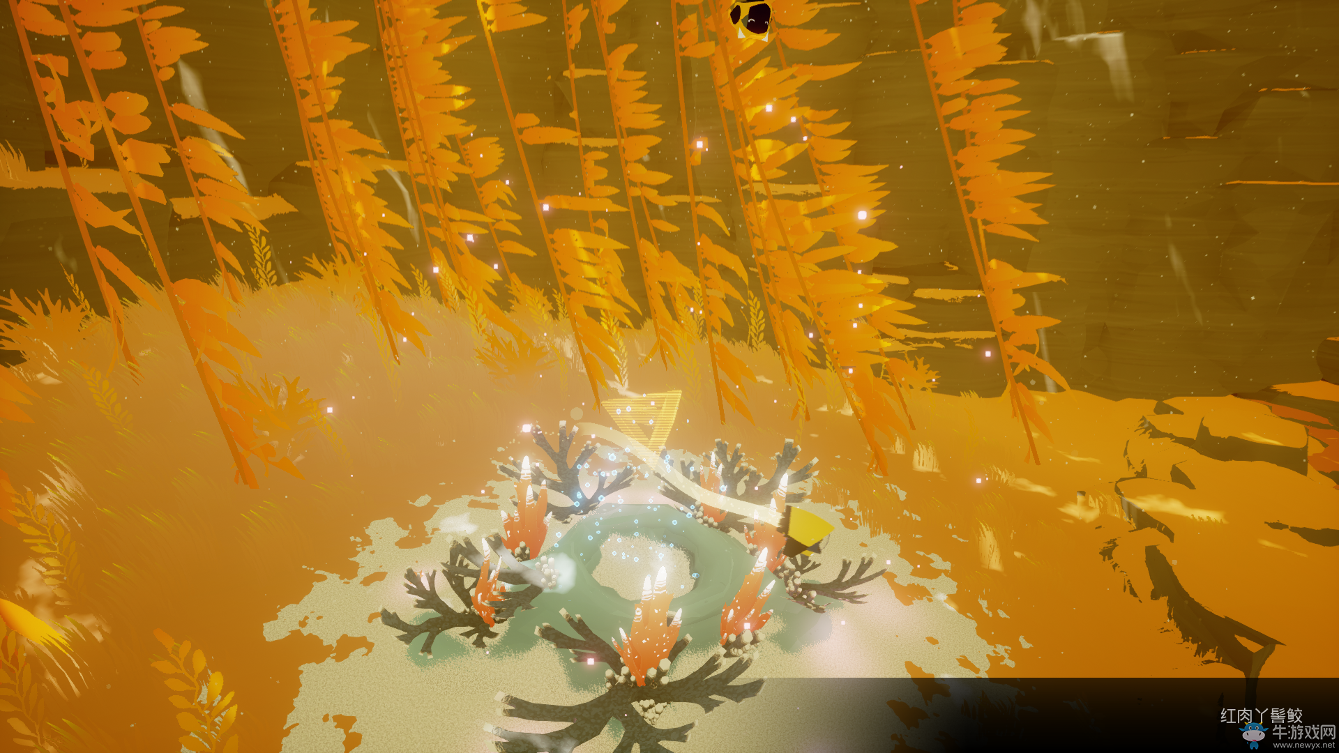 《ABZU》貝殼冥想水潭全收集攻略