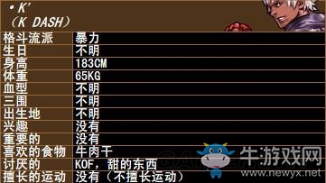 《拳皇》拳皇系列人物背景資料圖鑒