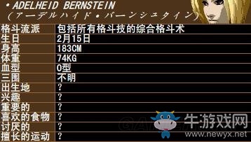 《拳皇》拳皇系列人物背景資料圖鑒