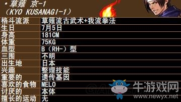 《拳皇》拳皇系列人物背景資料圖鑒