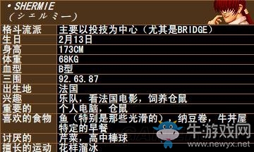 《拳皇》拳皇系列人物背景資料圖鑒