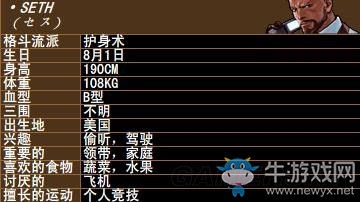 《拳皇》拳皇系列人物背景資料圖鑒