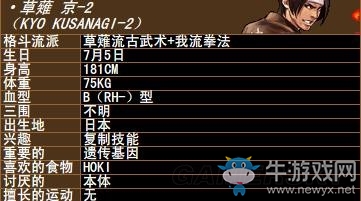 《拳皇》拳皇系列人物背景資料圖鑒